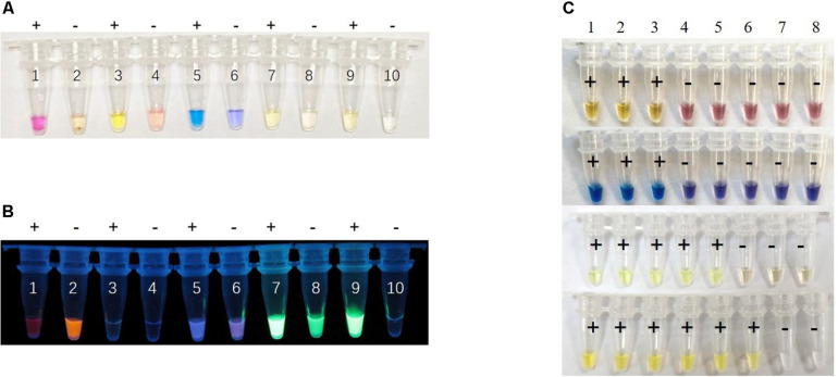 FIGURE 3