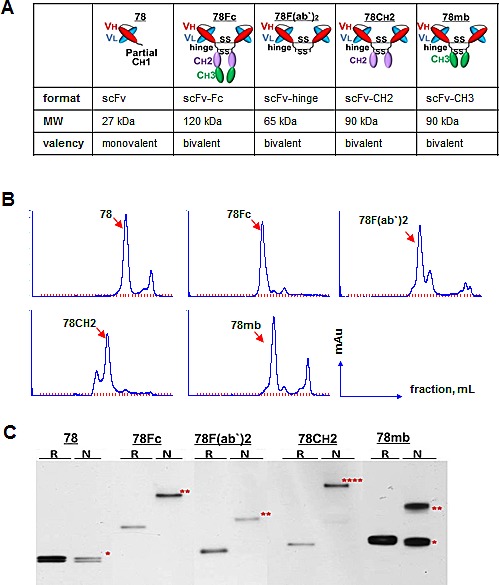 Fig.1