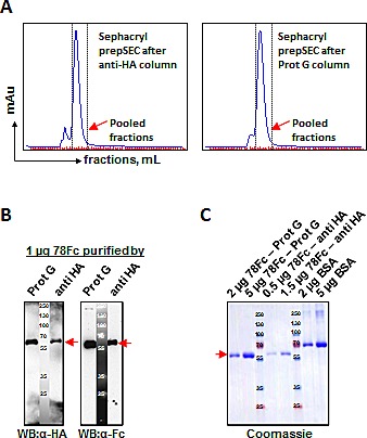 Fig.4