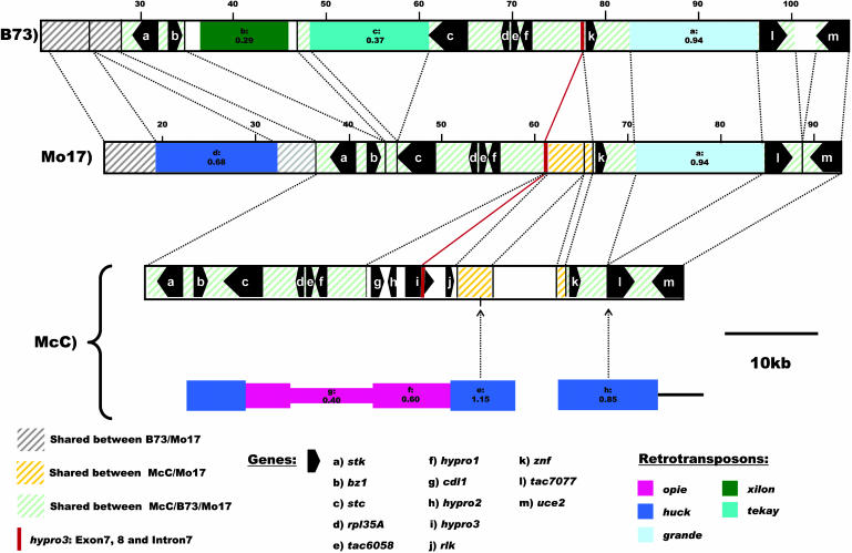 Figure 7.