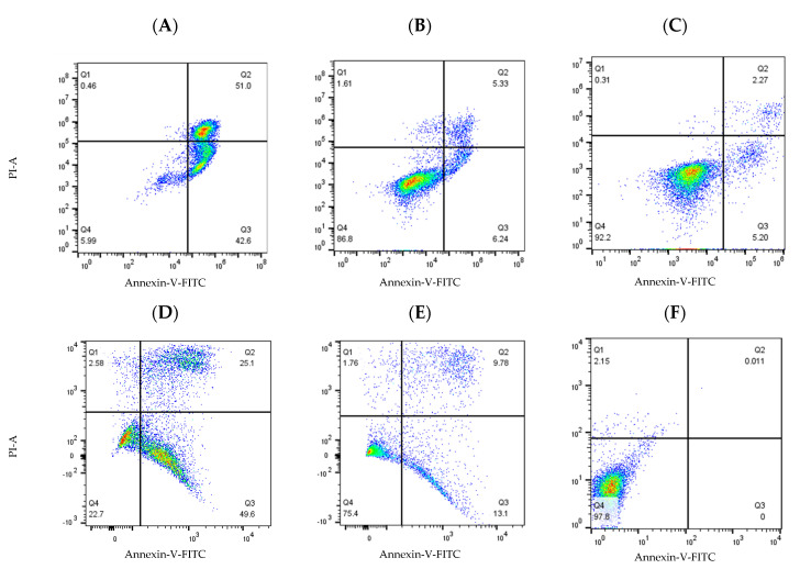 Figure 13