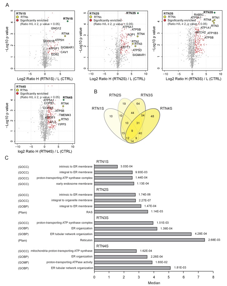 Figure 5—figure supplement 2.