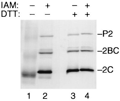 FIG. 7