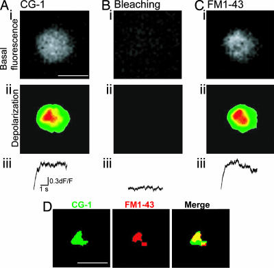 Fig. 4.