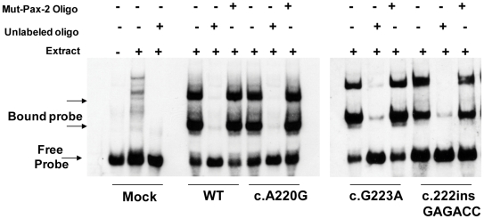 Figure 9