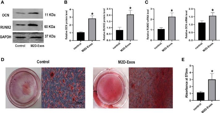 Figure 2