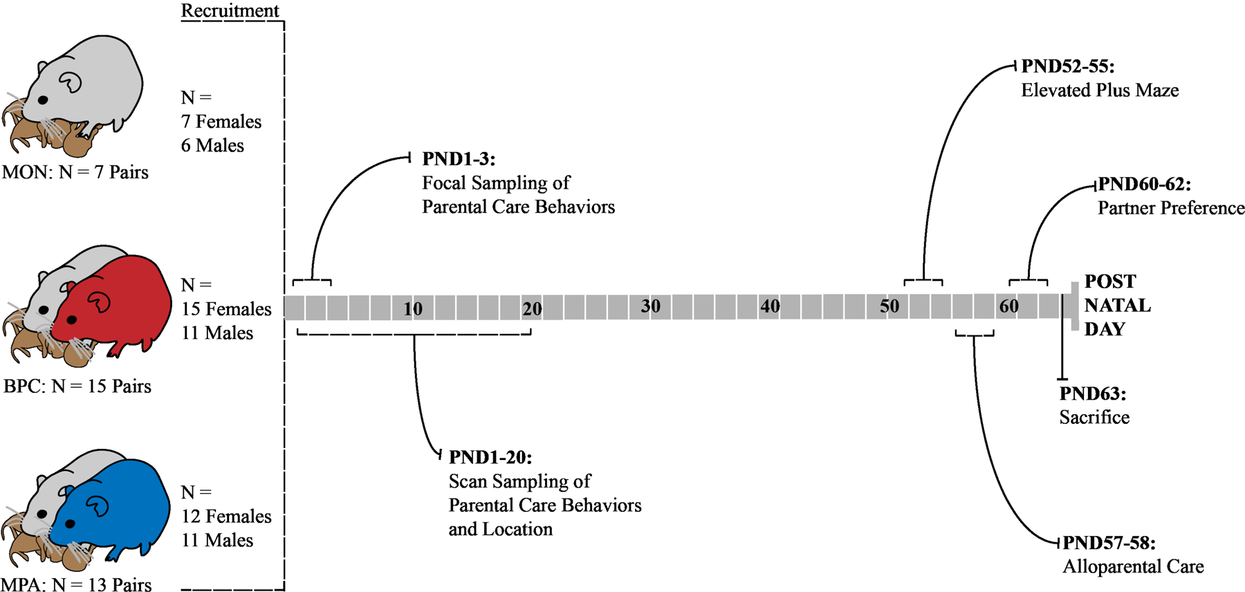 Figure 2: