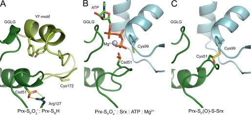 FIGURE 3.