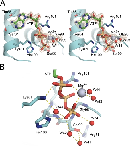 FIGURE 2.