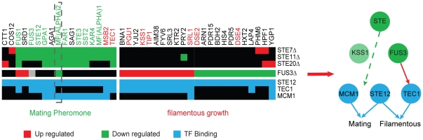 Figure 5