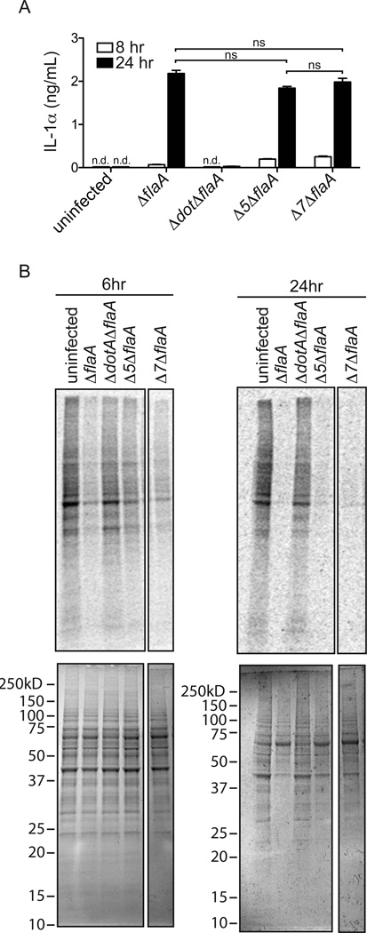 Figure 5