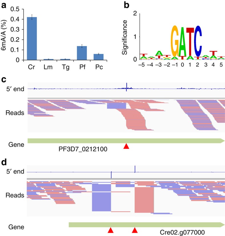 Figure 4