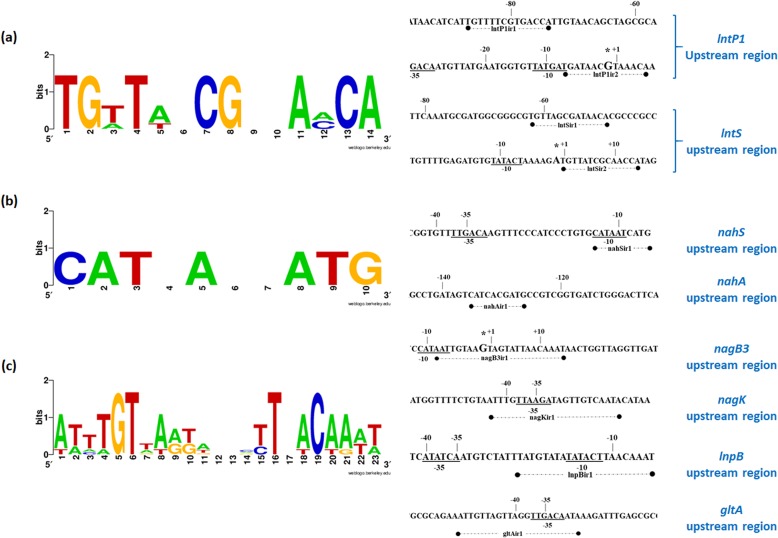 FIG 3