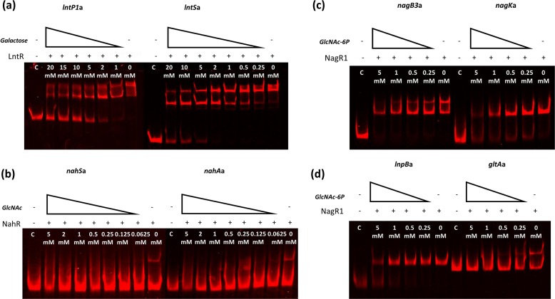 FIG 4