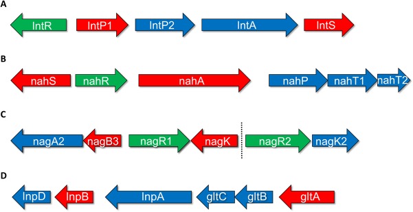 FIG 1