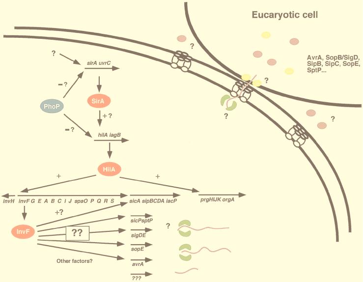 FIG. 4