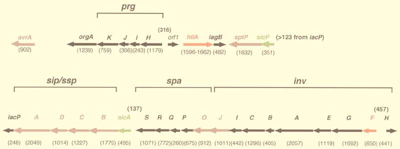 FIG. 3