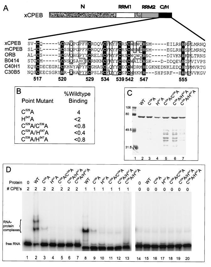 FIG. 4