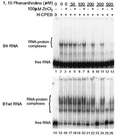 FIG. 6