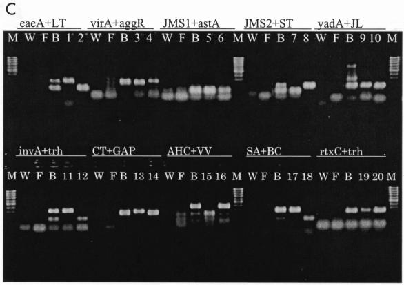 FIG. 4.