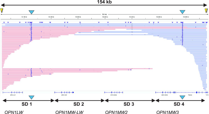 Fig. 3