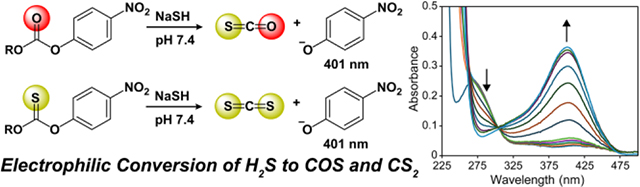 graphic file with name nihms-2045410-f0001.jpg