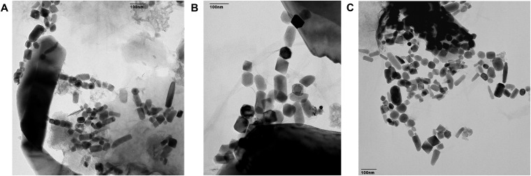 Fig. S3.