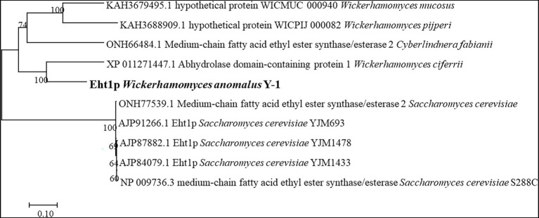 Figure 6