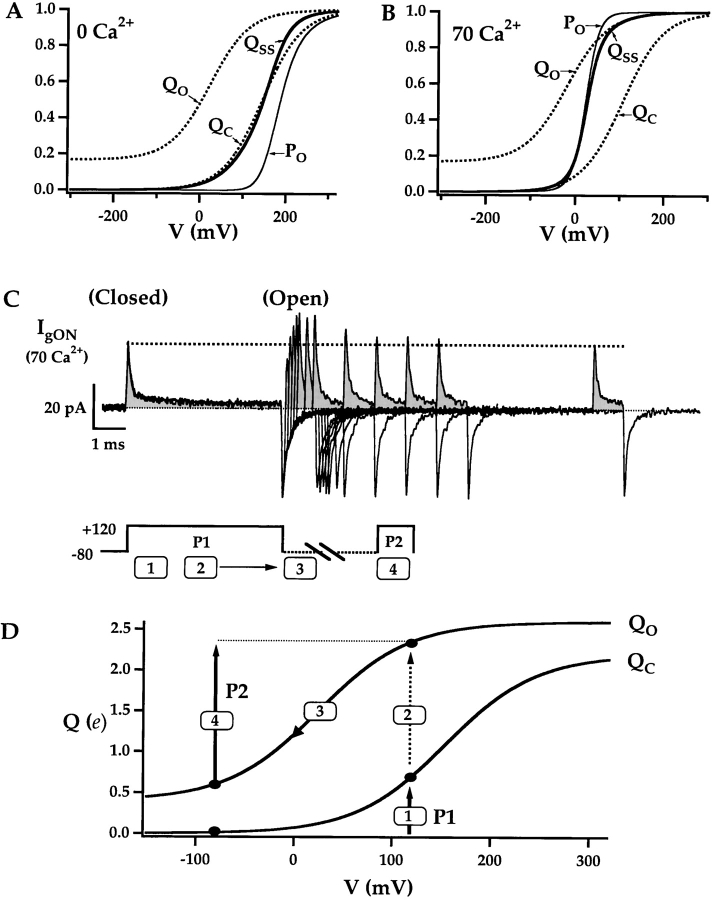 Figure 11. 