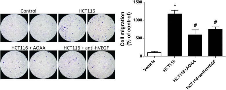 FIG. 11.