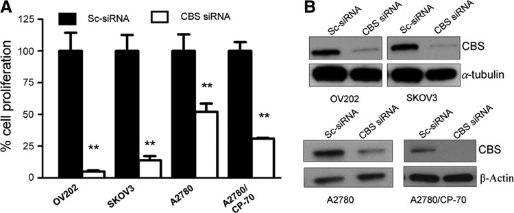 FIG. 8.