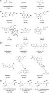 <b>FIG. 15.</b>