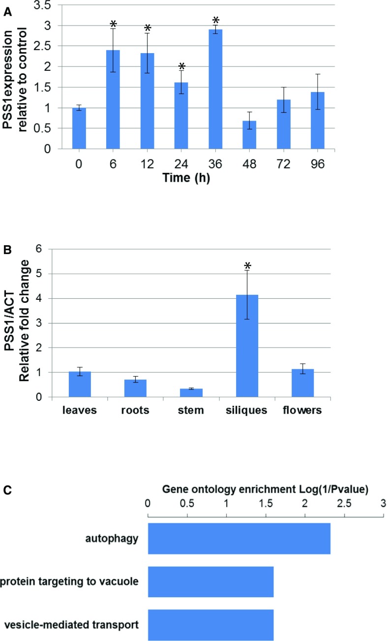 Figure 5.