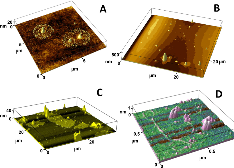 Figure 3.