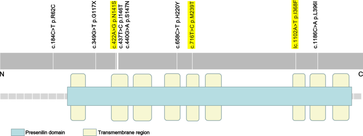 Fig. 1