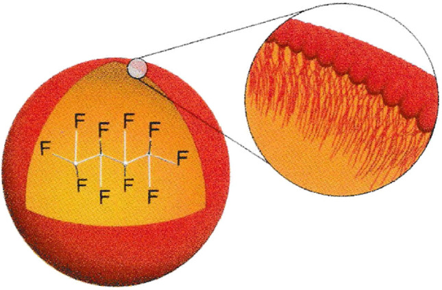 Fig. 1