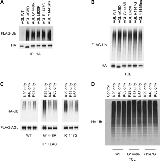 Figure 3.