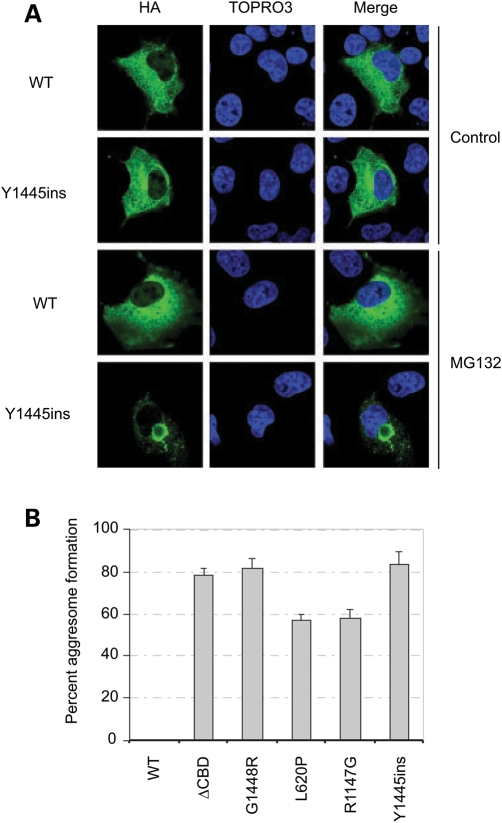 Figure 4.