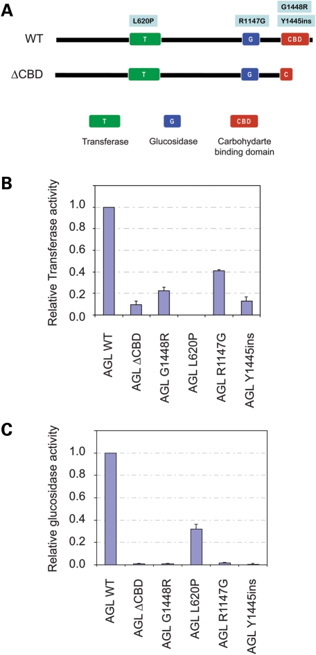 Figure 1.