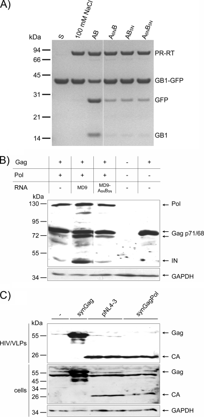 Fig. 6.