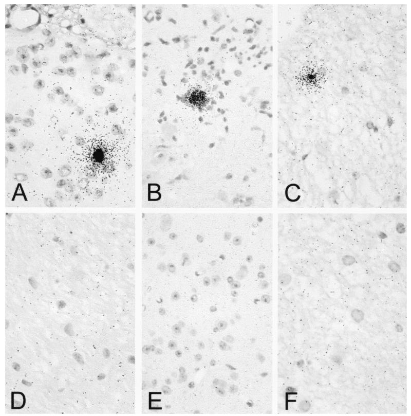 FIG. 8.