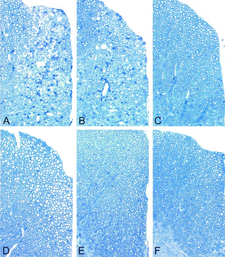 FIG. 6.