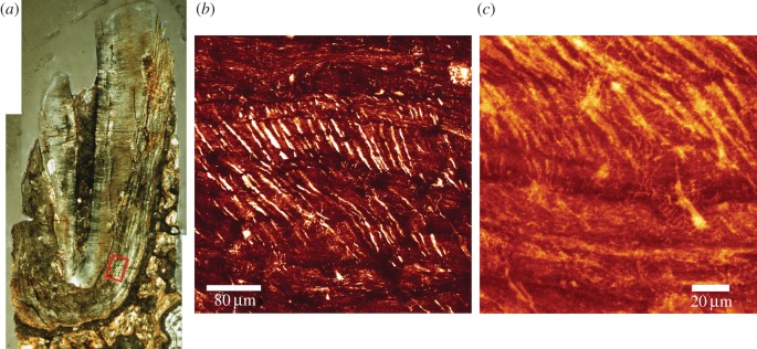 Figure 6.