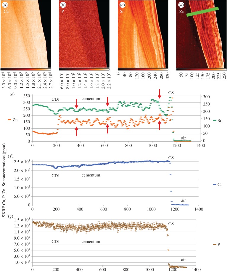 Figure 4.