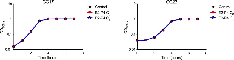 Figure 1—figure supplement 1.