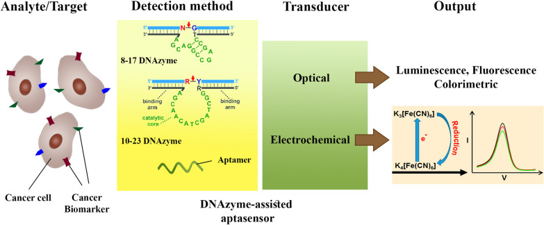 graphic file with name 12951_2022_1640_Figa_HTML.jpg