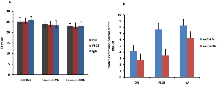 Fig 10