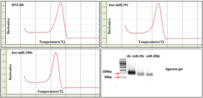 Fig 7