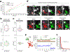 Extended Data Fig. 9 |