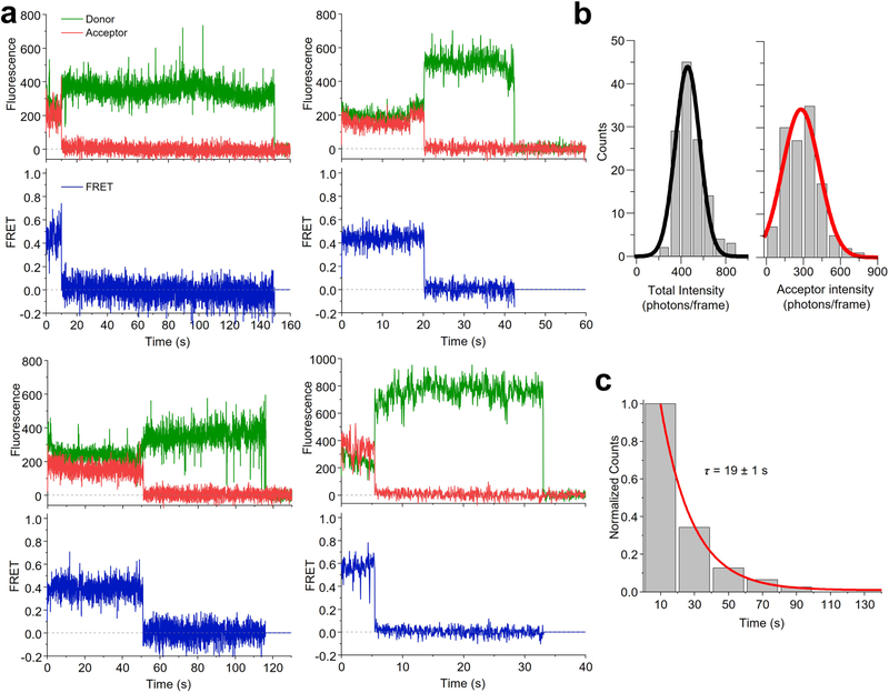 Extended Data Fig. 3 |